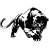 Shadow Puma