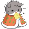 Meow the Tabby Cat 19