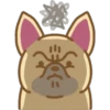 Perritos Bonitos 14