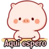 CERDITO bonito 21