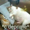 asdsfgh 6