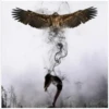 Hello 18