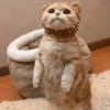 Gatinhos que curam a depressão 20