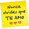 Notas 5