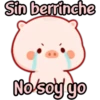 CERDITO bonito 22
