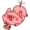 Pig 02 16