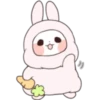 PANDITA 22