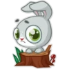 Bunyboo 24