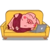 Pig 02 19