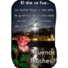 buenas noches 17