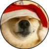 Perrito 21