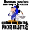 Riririririiiiiimicccs 21