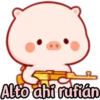 CERDITO bonito 24