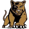 Gold Mascot