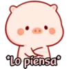 CERDITO bonito 25
