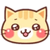 Gatito Kawaii🇧🇷❤️🌸 12