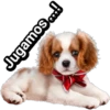 Cachorros tiernos 22