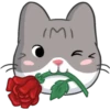 Meow the Tabby Cat 23
