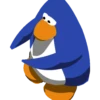 CLUB PENGUIN JKDSKJSJKDJK 6