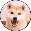 Perrito 22