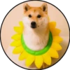 Perrito 23