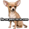 Cachorros tiernos 23