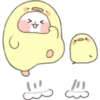 PANDITA 25