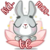 -IN ↓ te mas-