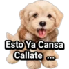 Cachorros tiernos 24