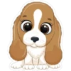 Animalitos Cute ️ 15