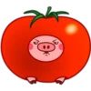 Pig 02 21