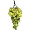 Food - Fruits 25