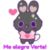 Pinky Bunny 24
