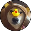 Perrito 25