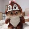Gatinhos que curam a depressão 25
