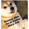 Buenos días No te bañes Hace frío
