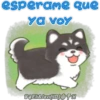 esperame que
ya voy