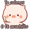 CERDITO bonito 28