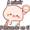 CERDITO bonito 29