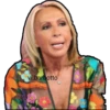vi.barbotto