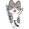 Meow the Tabby Cat 29