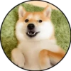 Perrito 27