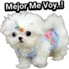 Cachorros tiernos 26
