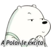 A Polar le excita