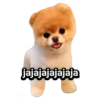 Cachorros tiernos 27