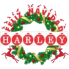 NombresNavideños 2 25