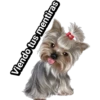 Cachorros tiernos 28