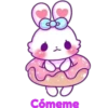 Pinky Bunny 26