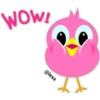 Colorful  Chick 29