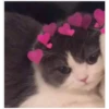 ons